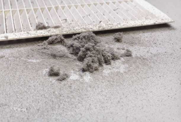 Best Air Duct Cleaning Company Near Me  in Fort Thomas, KY